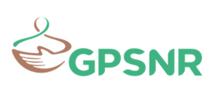 gpsnr-logo